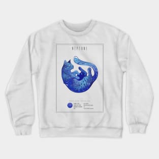 Neptune Crewneck Sweatshirt